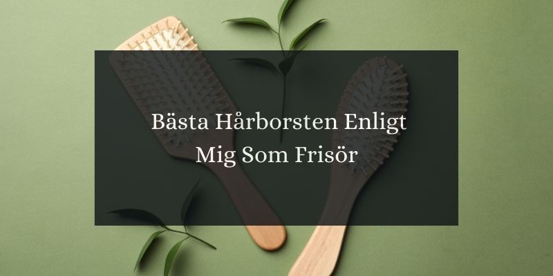 Bästa hårborsten